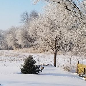 Meet your Posher, Penny